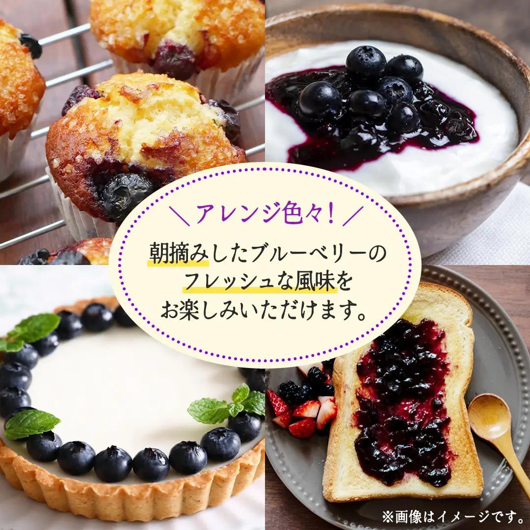朝摘み 生 ブルーベリー 1kg (500g×2) (CB001)