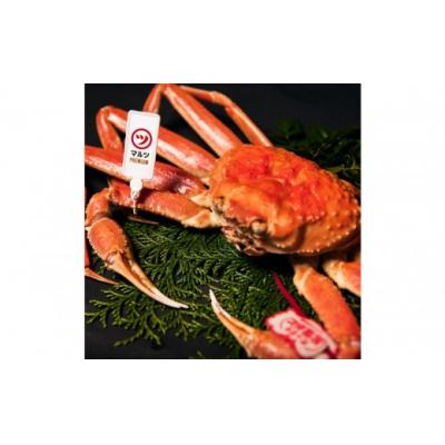 ふるさと納税 境港市 <平日着><11月上旬〜配送予定>活〆ボイル松葉蟹(大/800g〜)