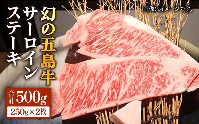 
                  五島牛 サーロインステーキ500g（250g×2枚） 五島市/ニク勝[PBF001] サーロイン ステーキ 肉  ジューシー 牛肉 五島牛 国産 
                