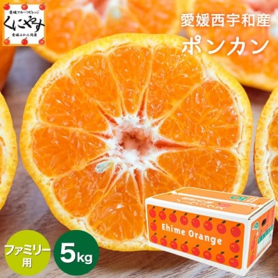 【南国を感じさせる独特の香り】愛媛ポンカン 5kg【D20−53】【1595883】