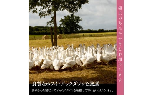 羽毛布団 洗える二枚合わせ羽毛掛けふとん シングル【甲州羽毛ふとん】 羽毛布団 シングル 掛け布団 掛布団 洗える 回収キット付き 富士吉田 山梨