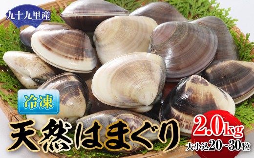 【冷凍】九十九里産 天然はまぐり2.0kg　大小込20～30粒  ふるさと納税 冷凍 はまぐり 蛤 天然 焼きはま 網焼き 酒蒸し お吸い物 パエリア 大粒 小粒 千葉県 白子町 SHF012