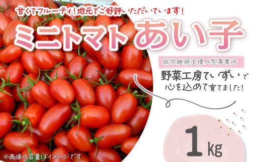 【先行予約】 ミニトマト「あい子」 約1㎏　野菜工房ていずい ＜思いやり型返礼品＞　2024年10月下旬～2025年1月下旬発送