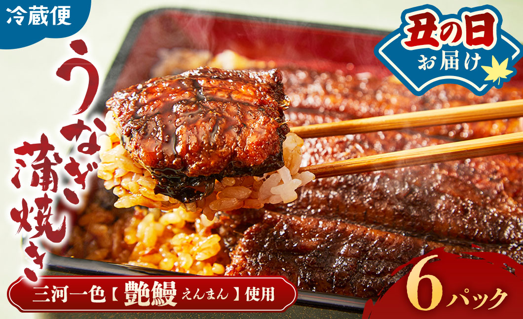 【土用の丑の日お届け】3代目が焼く蒲焼き真空パックB 6パック 国産 うなぎ 蒲焼 鰻 ウナギ 蒲焼き 丑の日 うな重 うな丼 うなぎ蒲焼 冷蔵 土用の丑の日 ギフト 三重県 多気町 UK-0207