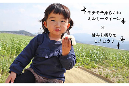 【令和5年産】 米旋風 贅沢ブレンド 5kg《糸島》【百笑屋】[ABF005] ミルキークイーン ヒノヒカリ ブレンド お米 栽培期間中農薬不使用 米 ごはん 白米 精米 オリジナル米