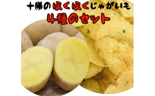 十勝・中札内村のほくほくじゃがいも 4種セット 約10kg 【2025年10月上旬より順次発送】 [J1-2C]