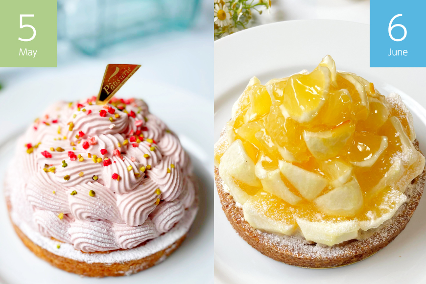 スイーツ ケーキ タルト 6種 食べ比べ 各回1ホール 6回 定期便 総計6ホール [心優-Cotoyu Sweets- 長崎県 平戸市 hr42bgy420180] 果物 フルーツ いちご モンブラ