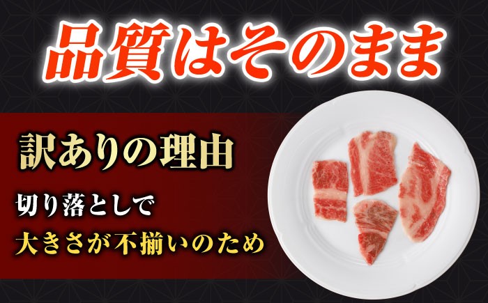【訳あり】 長崎和牛（バラ、モモ、肩ロースのいずれか）1kg 切り落とし 250g×4P