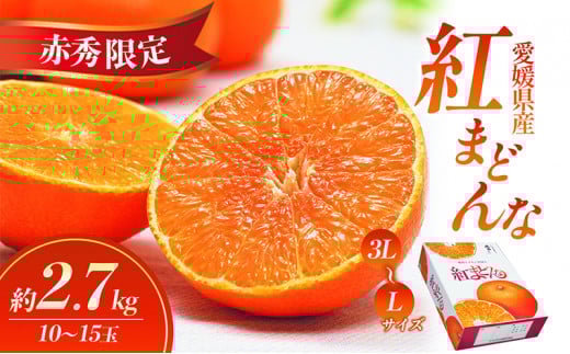 【数量限定 先行予約】愛媛県産紅まどんな（赤秀限定）2.7kg[50R0975] 【高島屋選定品】 赤秀L～3Lサイズ（10～15玉）11月下旬頃～順次発送 ＜ギフト 正規品 甘い みかん フルーツ＞ [№5310-0048]
