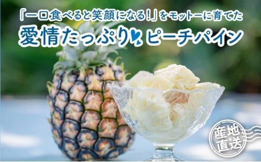 定期便 2ヶ月 2027年 先行予約 ピーチパイン 約3.5kg(4～5玉)×2回 ピーチパイン好きにおすすめ♪ ☆西表島ふる～つらんど☆ 果物 フルーツ　026-a013-2027 約3.5kg(4