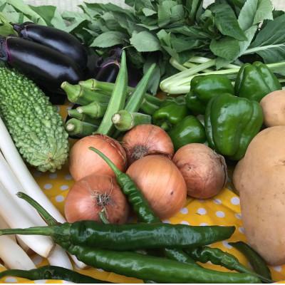 ふるさと納税 行方市 『身体が喜ぶ野菜』(おまかせ10〜12品) |  | 03