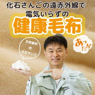 温泉に入ったときのような心地よさ「温泉毛布ニゅ～マイヤー（一重毛布）」シングルサイズ140cm×200cm【ブルー】