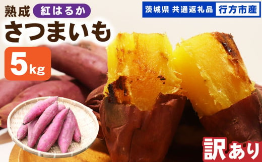 【 訳あり 】“熟成” 茨城県産 さつまいも 【 紅はるか 】 約5kg （茨城県共通返礼品・行方市産） 芋 いも サツマイモ 野菜 やさい 国産