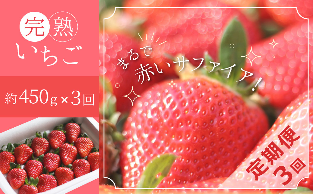
                   【いちご定期便】（1月2月3月お届け）まるで赤いサファイア!!丹精込めた完熟いちご!! 約450g×3回　H130-013
                