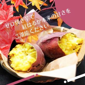2025年度産 濃厚な甘みのさつまいも 紅はるか 約10kg｜さつまいも 芋 お芋 紅はるか 渋谷農園 茨城県 行方市(BZ-14)