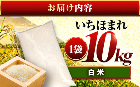 福井県産 いちほまれ 精米 10kg 県産ブランド米 / コメ 白米 新米 米 小浜市 / 梅田東米穀店[BFEK019]
