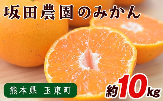 
										
										熊本県玉東町産限定『坂田農園』のみかん 大容量 約10kg(2S-Lサイズ) 予約受付中 フルーツ 秋 旬 ジャム ゼリー 玉東町70年のベテラン！濃厚な食味とジューシーな果汁 熊本県玉東町《10月上旬-1月末頃より順次出荷》---sg_saktmikan_af101_24_13000_10kg---
									