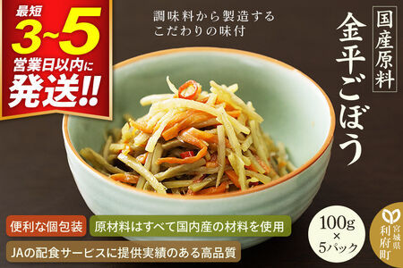 金平ごぼう 100g×5パック 国産原料