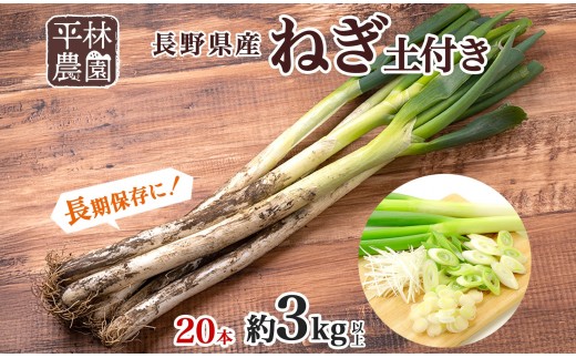 
                  ねぎ 土付き20本 3kg以上 ｜長ねぎ ネギ 葱 野菜 国産 新鮮 常備 保存 土付き 鍋 味噌汁 すき焼き 薬味 料理 お裾分け 贈り物 長野県産 送料無料 産地直送 平林農園 長野県 大町市
                