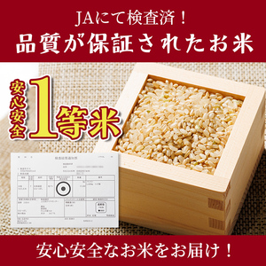 【C7082】上士別清流米 ななつぼし 玄米 (10kg) 米 お米 玄米 北海道米 ごはん ななつぼし 北海道産 士別産 10kg 【合同会社T&M】