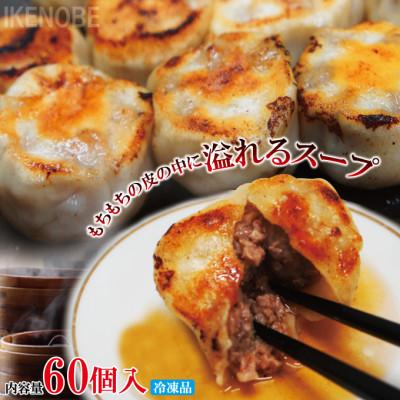 ふるさと納税 常陸大宮市 【ふるさと納税】スープ溢れる焼き小籠包60個入り