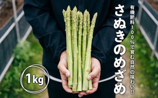 グリーンアスパラガス さぬきのめざめ 1kg 朝採れ 鮮度バツグン 有機肥料 早朝収穫 人気 シャキシャキ 食感 新鮮 瑞々しい 甘い 歯ごたえ ロングサイズ  アスパラガス 農場 収穫 特別品質 高品質 希少品質 美しい フレッシュ 品種改良 減農薬 野菜 旬 丸亀市 藤井農園