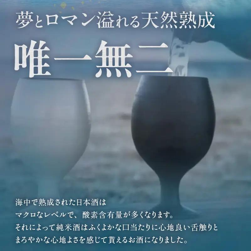 【テレビで紹介！】伊勢湾竜宮熟成酒「たまてばこ」【澤田酒造】│日本酒 酒 常滑市