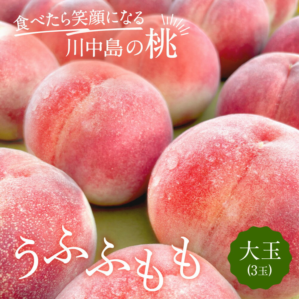 【ふるさと納税】すーさんの果樹屋　【先行予約】川中島の桃 大玉3玉 品種おまかせ 7月下旬～8月上旬発送予定 | もも 桃 フルーツ 果実 産地直送 人気 おすすめ ギフト プレゼント 送料無料 長野県 長野市 信州 信濃 ふるさと納税