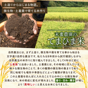 K-198-E 【3回定期便】令和7年産 てまひま米(品種:にこまる)(計15kg：5kg×3回)【末蜜農園】霧島市 お米 精米 白米 米 こめ コメ ご飯 ごはん 定期便 栽培期間中農薬不使用
