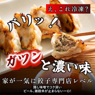 ふるさと納税 静岡市 肉汁餃子(30個入×10袋) |  | 01