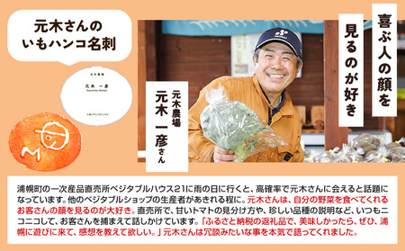 とうもろこし2種セット  合計10本（おひさまコーン７本、ロイシーコーン３本） 元木農場 北海道浦幌町産 生でも食べられる糖度20度以上 朝もぎたてとうもろこし 旬の時期にお届け 朝採り【8月下旬-9