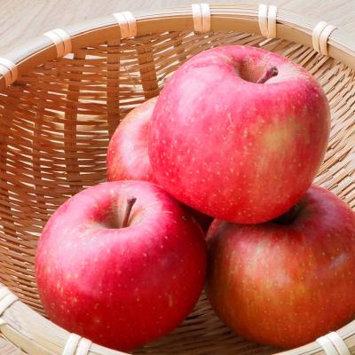 ふるさと納税 山形市 山形産りんごの熟成フルーツビネガー【りんご酢3本セット】 FZ21-010 |  | 03