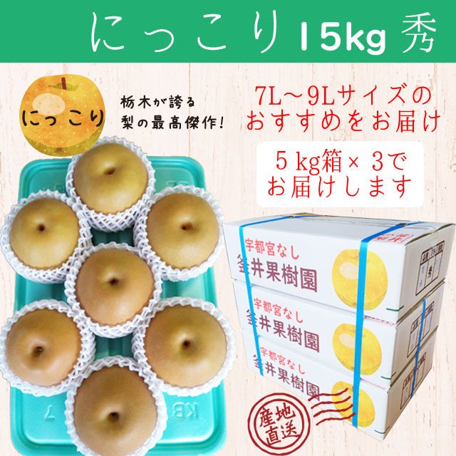 
            にっこり 15kg 18～24玉 ｜ 栃木県産 宇都宮市 梨 なし にっこり フルーツ 果物 ※離島への配送不可 ※2025年10月上旬頃より順次発送予定
          