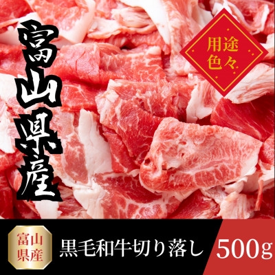 
                  富山県産黒毛和牛切り落とし 計500g【1745095】
                