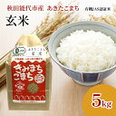 【ふるさと納税】【玄米】JAS有機米 きみまちこまち 5kg 秋田県産 あきたこまち 令和6年産　お届け：ご入金確認後、2週間～1か月程度でお届けします。