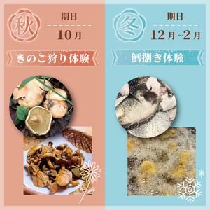 季節の三陸体験 体験チケット (3名様分/1体験) 三陸アクティブ 三陸 大船渡 大船渡市 体験 体験チケット チケット 夏休み 冬休み 春休み うに ウニ 山菜 山菜取り キノコ きのこ きのこ狩り