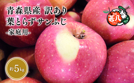 りんご 葉とらずサンふじ 家庭用 5kg 【青森県 平川市 マルジンサンアップル】 りんご