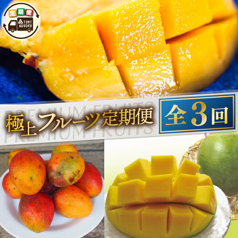 【ふるさと納税】【先行予約】【2026年6月より順次発送】【3ヶ月定期便】豊見城 極上フルーツ定期便(6・7・8月コース)｜フルーツ くだもの 果物 マンゴー アップルマンゴー キーツマンゴー 名護パイン園 定期便 フルーツ定期便 先行予約 沖縄県 豊見城市(AC022)