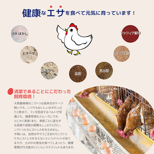 かっぱの健卵 15個 3か月定期便【大熊養鶏場】たまご 卵 玉子 タマゴ 生卵 こだわり 卵かけご飯 TKG 国産 お取り寄せ 北海道 比布町 ぴっぷ 1006-004