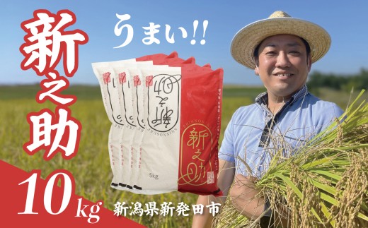【最短1週間発送!】 令和7年産 新之助 10kg 5kg×2袋 お米 こめ ご飯 ごはん おいしい 新潟 新潟県 米 5kg 10kg 新発田産 新潟産 朝食 昼食 夕飯 炊きたて 精米 ブランド watasho008_2025