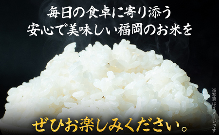 福岡県産米 夢つくし ５kg 米 令和7年産 精米 国産 米 白米 精米 こめ コメ ブランド米 ごはん おにぎり おやつ 単一米 福岡県 福岡 九州 グルメ お取り寄せ