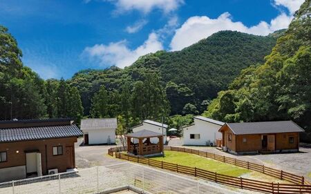 【愛犬と宿泊】 グランピング DOG PALACE camp village 宿泊利用券3000円分 /  旅行 宿泊 リラックス  和歌山 田辺市 熊野古道【dpc001】