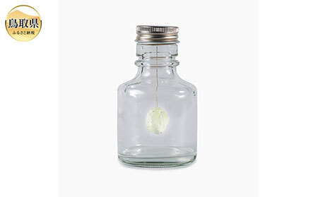 光る「メテオ」とこよりマスコットの因州和紙セット_T2600216