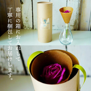 SL0198　水のいらない花　ゼロフラワー「バラ一輪挿し」