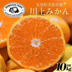 【天皇杯受賞産地】川上みかん 10kg【小玉】【愛媛県八幡浜市】新口農園厳選【E70-127】【1684228】