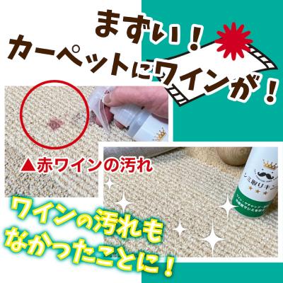 ふるさと納税 小牧市 シミ取りキング300ml (マツクラ産業) [193V02] |  | 02