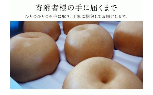 『上田農園』の玉東梨 《8月中旬-10月上旬頃出荷》 約3kg 3-10玉前後 『上田農園』なし ---sg_cuedanashi_g810_25_11500_3kg---