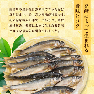 天然鮎の粕漬け 6匹 【 あゆ 鮎 アユ 天然鮎 鮎の粕漬け 鮎 】