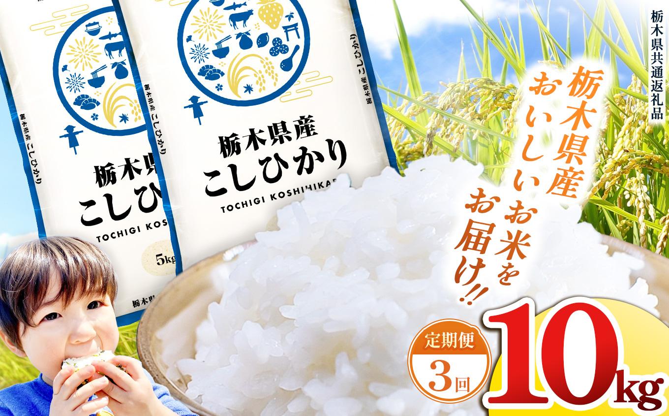 【定期便3回】栃木県産 お米 こしひかり 10kg |  栃木県 矢板市 【栃木県共通返礼品】