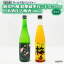 【ふるさと納税】純米吟醸 続撃破率百二十％ 720ml 日本酒 仕込み 梅酒 500ml ガルパン コラボ 2本 セット 国産梅 月の井 大洗 地酒 茨城 ガールズ＆パンツァー